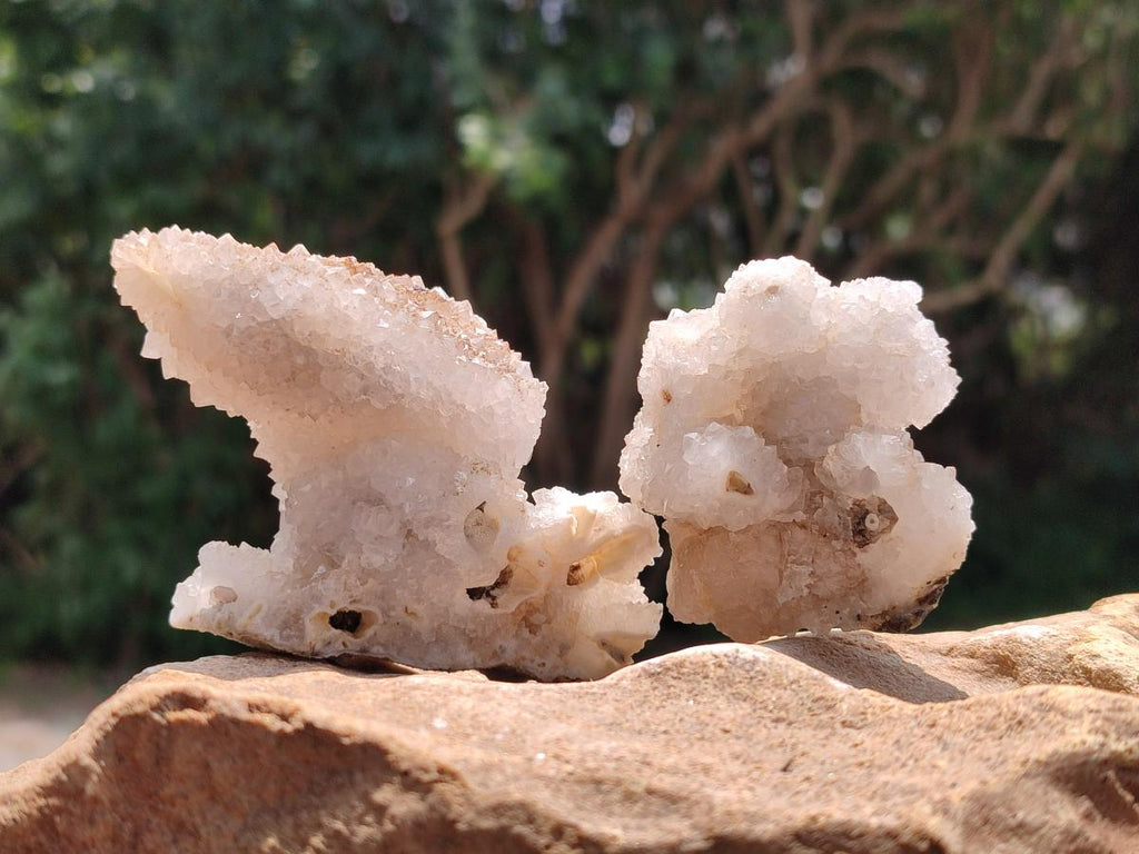 Natural Drusy Snow Finger Crystals x 12 From Albert's Mountain, Lesotho