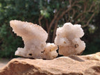 Natural Drusy Snow Finger Crystals x 12 From Albert's Mountain, Lesotho