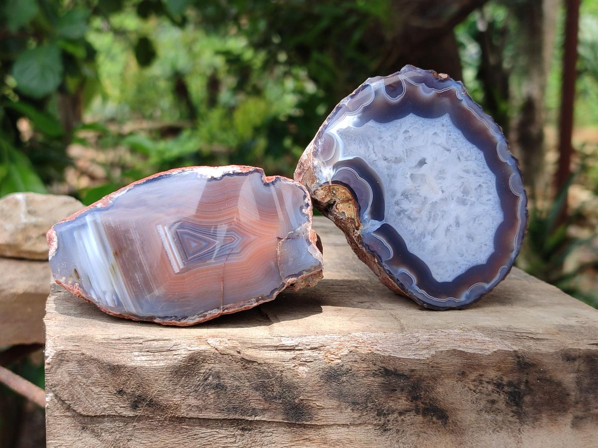 Polished On One Side Red Shashe River Agate Nodules x 12 From Shashe River, Zimbabwe
