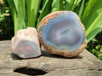 Polished On One Side Red Shashe River Agate Nodules x 12 From Shashe River, Zimbabwe