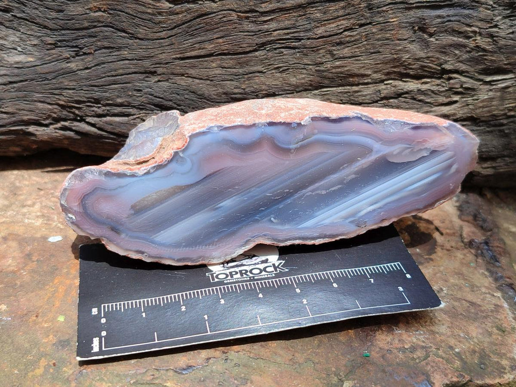 Polished On One Side Red Shashe River Agate Nodules x 12 From Shashe River, Zimbabwe