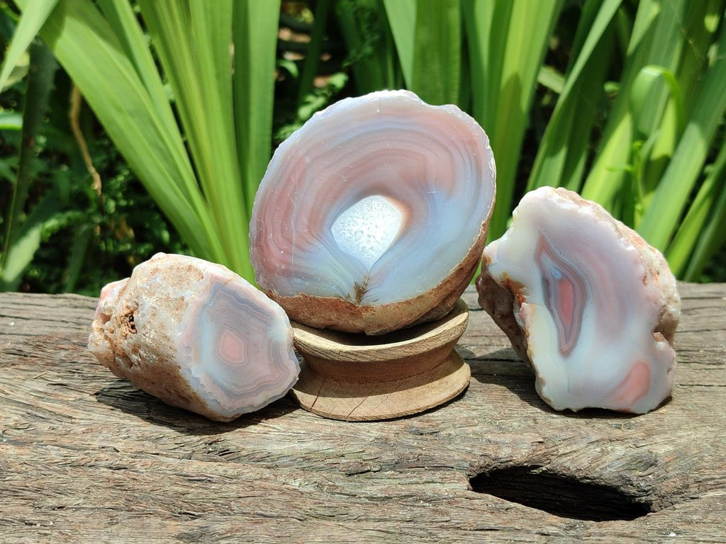 Polished On One Side Red Shashe River Agate Nodules x 12 From Shashe River, Zimbabwe