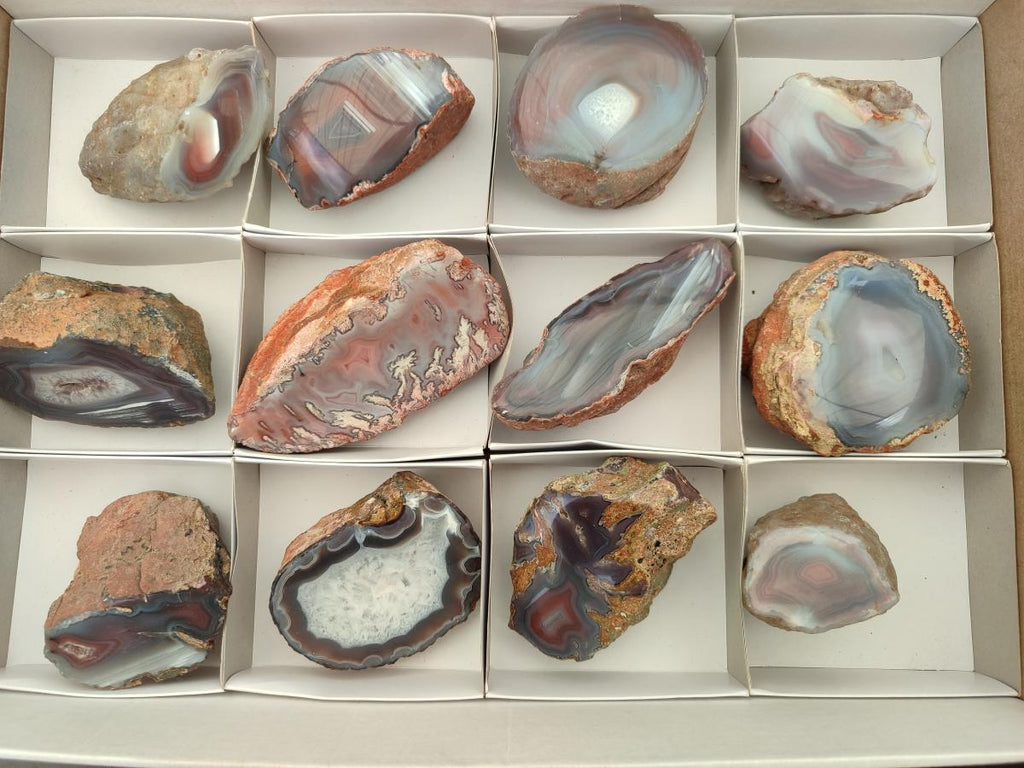 Polished On One Side Red Shashe River Agate Nodules x 12 From Shashe River, Zimbabwe