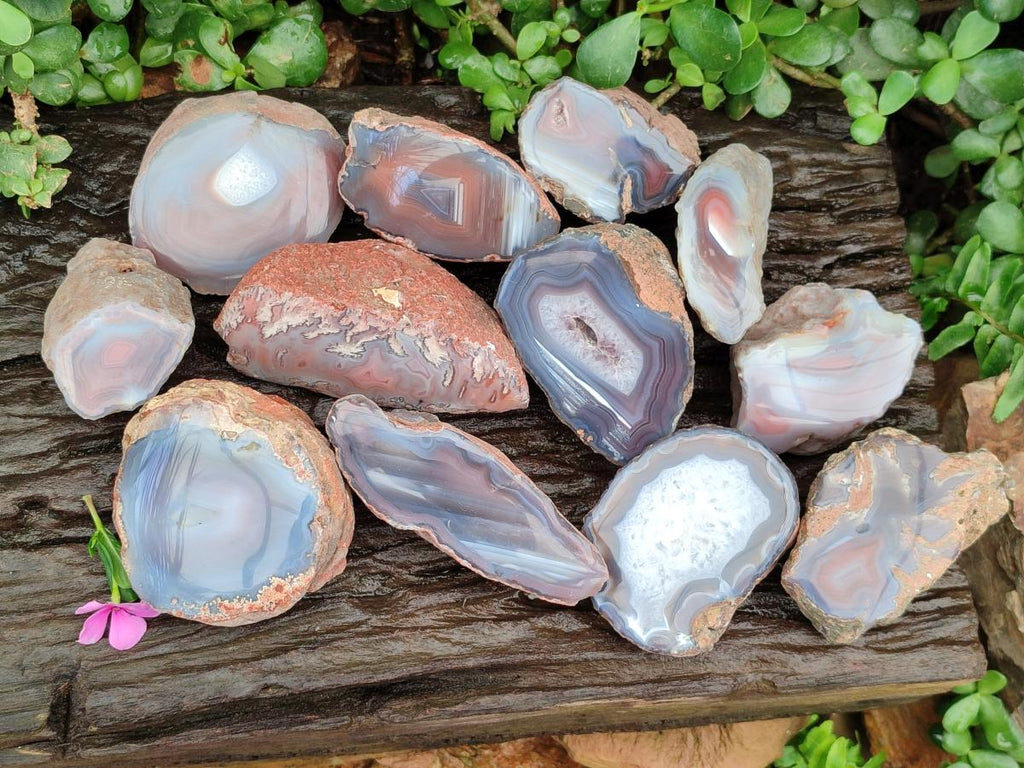 Polished On One Side Red Shashe River Agate Nodules x 12 From Shashe River, Zimbabwe