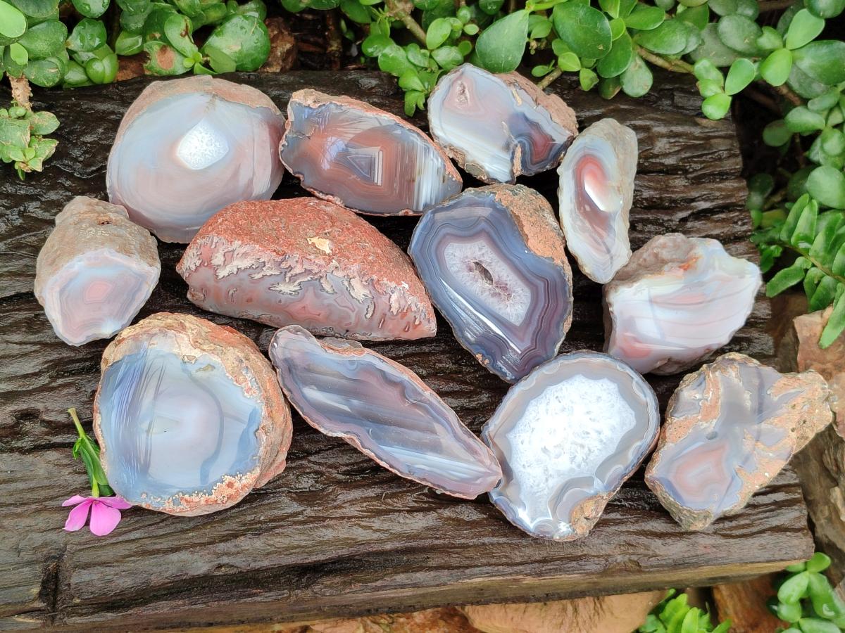 Polished On One Side Red Shashe River Agate Nodules x 12 From Shashe River, Zimbabwe