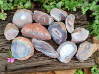 Polished On One Side Red Shashe River Agate Nodules x 12 From Shashe River, Zimbabwe