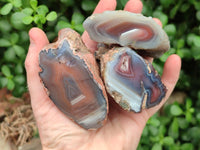 Polished On One Side Red Shashe River Agate Nodules x 12 From Shashe River, Zimbabwe