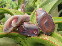 Polished On One Side Red Shashe River Agate Nodules x 12 From Shashe River, Zimbabwe