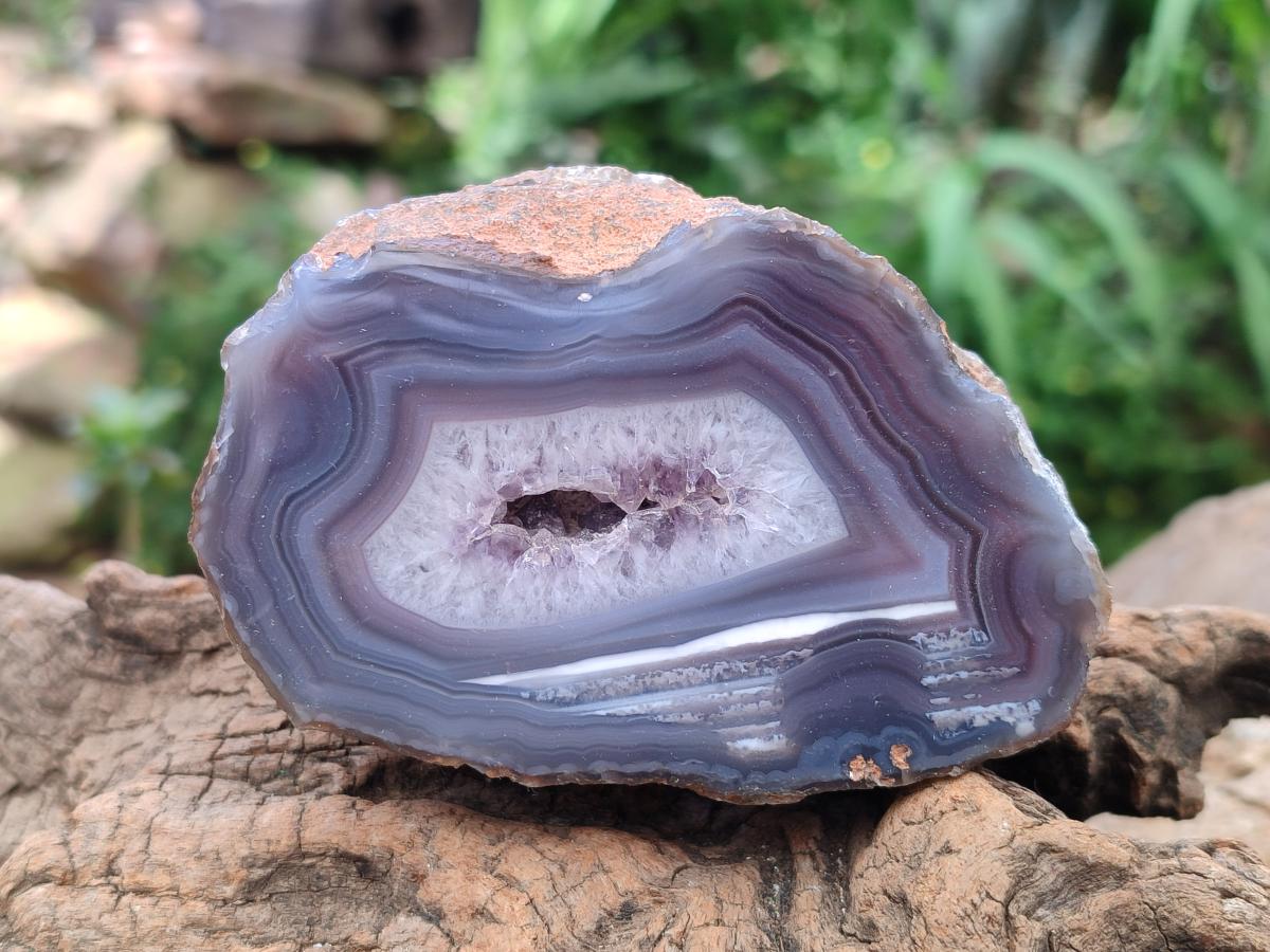 Polished On One Side Red Shashe River Agate Nodules x 12 From Shashe River, Zimbabwe