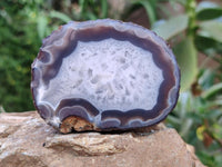 Polished On One Side Red Shashe River Agate Nodules x 12 From Shashe River, Zimbabwe