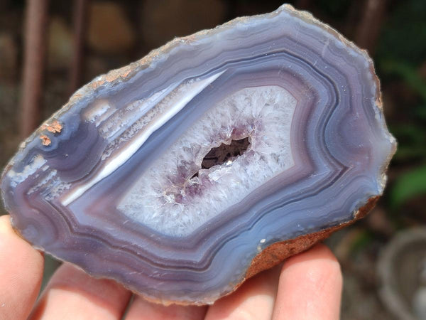 Polished On One Side Red Shashe River Agate Nodules x 12 From Shashe River, Zimbabwe