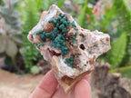 Natural Crystalline Ball Malachite and Quartz on Dolomite Specimens x 2 From Mindingi Mine, Kambove, Congo