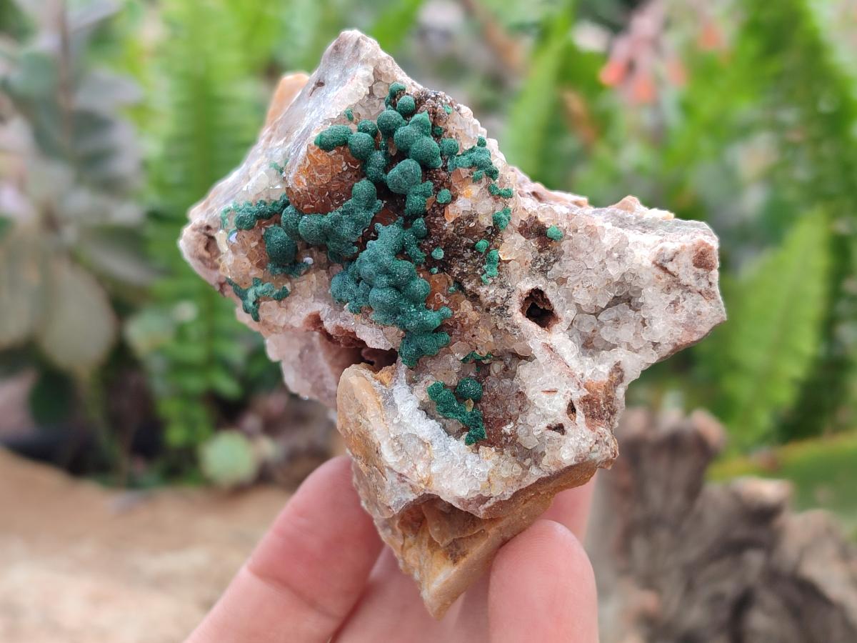 Natural Crystalline Ball Malachite and Quartz on Dolomite Specimens x 2 From Mindingi Mine, Kambove, Congo
