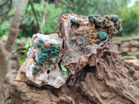 Natural Crystalline Ball Malachite and Quartz on Dolomite Specimens x 2 From Mindingi Mine, Kambove, Congo