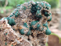 Natural Crystalline Ball Malachite and Quartz on Dolomite Specimens x 2 From Mindingi Mine, Kambove, Congo