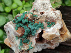 Natural Crystalline Ball Malachite and Quartz on Dolomite Specimens x 2 From Mindingi Mine, Kambove, Congo