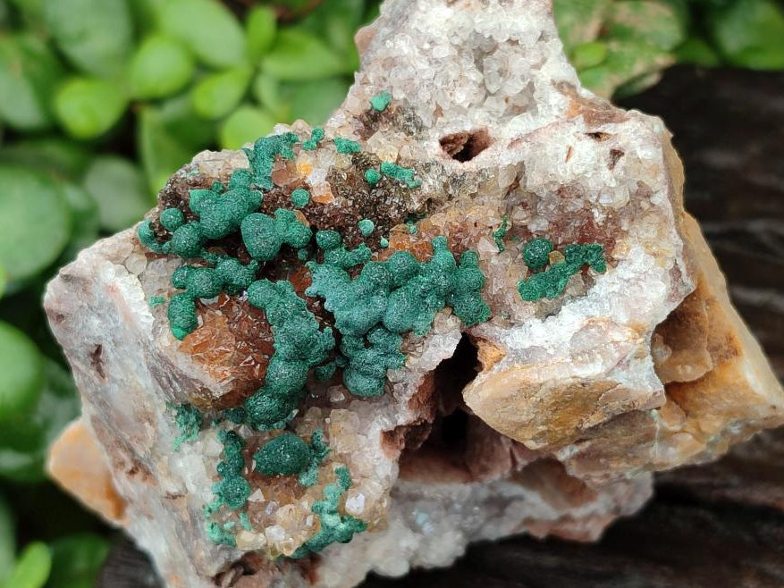 Natural Crystalline Ball Malachite and Quartz on Dolomite Specimens x 2 From Mindingi Mine, Kambove, Congo