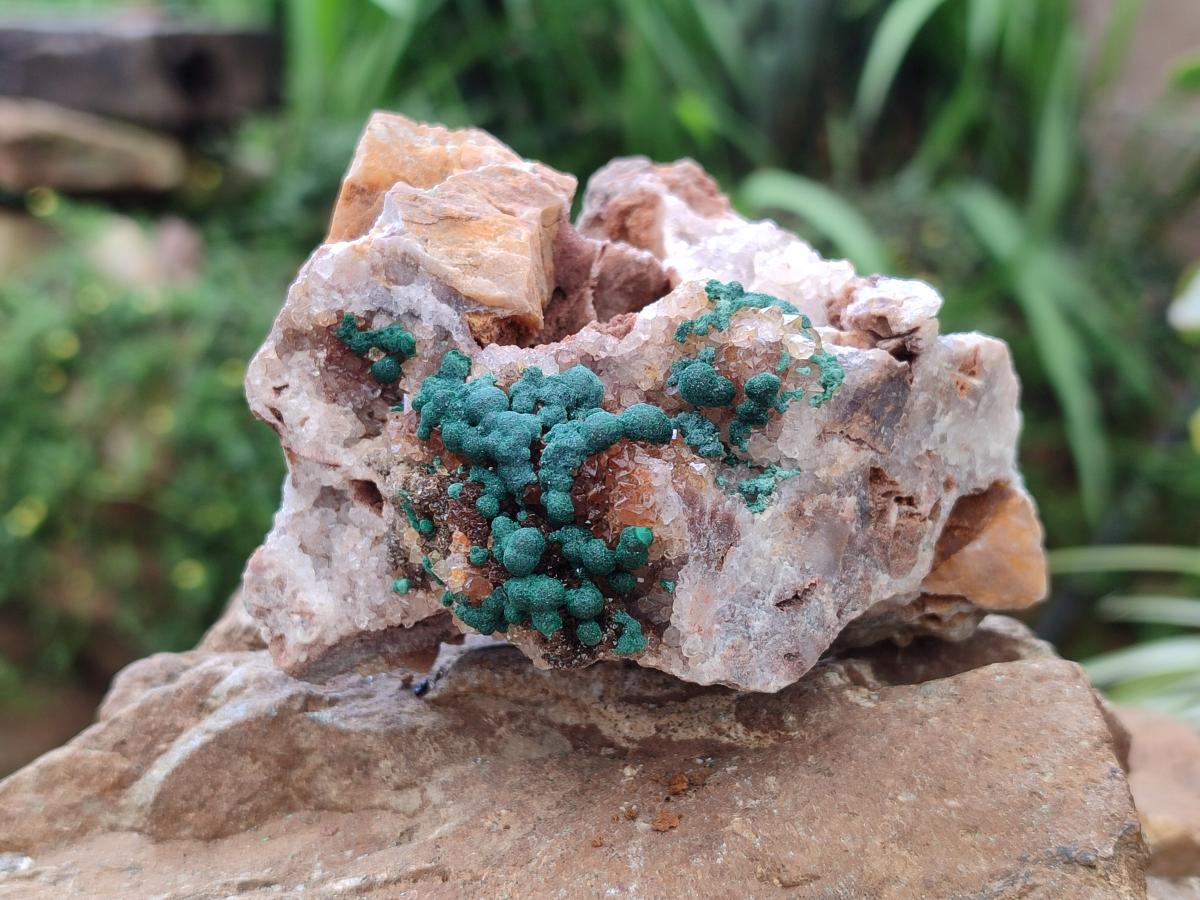 Natural Crystalline Ball Malachite and Quartz on Dolomite Specimens x 2 From Mindingi Mine, Kambove, Congo