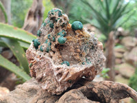 Natural Crystalline Ball Malachite and Quartz on Dolomite Specimens x 2 From Mindingi Mine, Kambove, Congo
