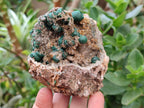 Natural Crystalline Ball Malachite and Quartz on Dolomite Specimens x 2 From Mindingi Mine, Kambove, Congo