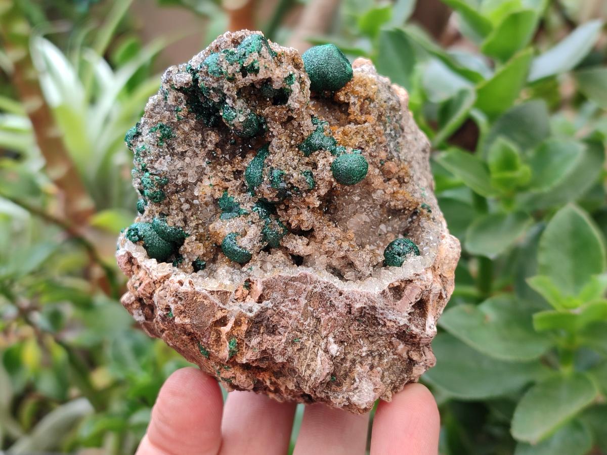 Natural Crystalline Ball Malachite and Quartz on Dolomite Specimens x 2 From Mindingi Mine, Kambove, Congo