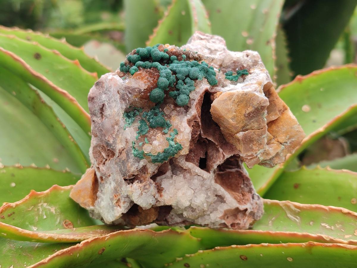 Natural Crystalline Ball Malachite and Quartz on Dolomite Specimens x 2 From Mindingi Mine, Kambove, Congo