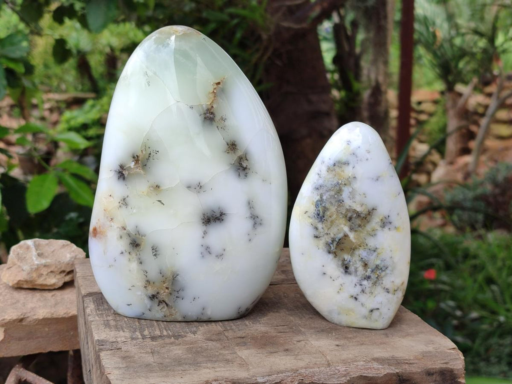 Polished White Dendritic Opal Standing Free Forms x 2 From Moralambo, Madagascar