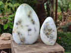 Polished White Dendritic Opal Standing Free Forms x 2 From Moralambo, Madagascar