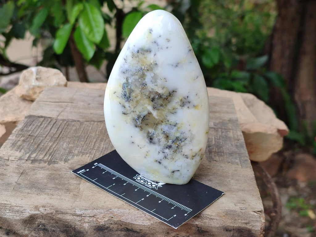 Polished White Dendritic Opal Standing Free Forms x 2 From Moralambo, Madagascar