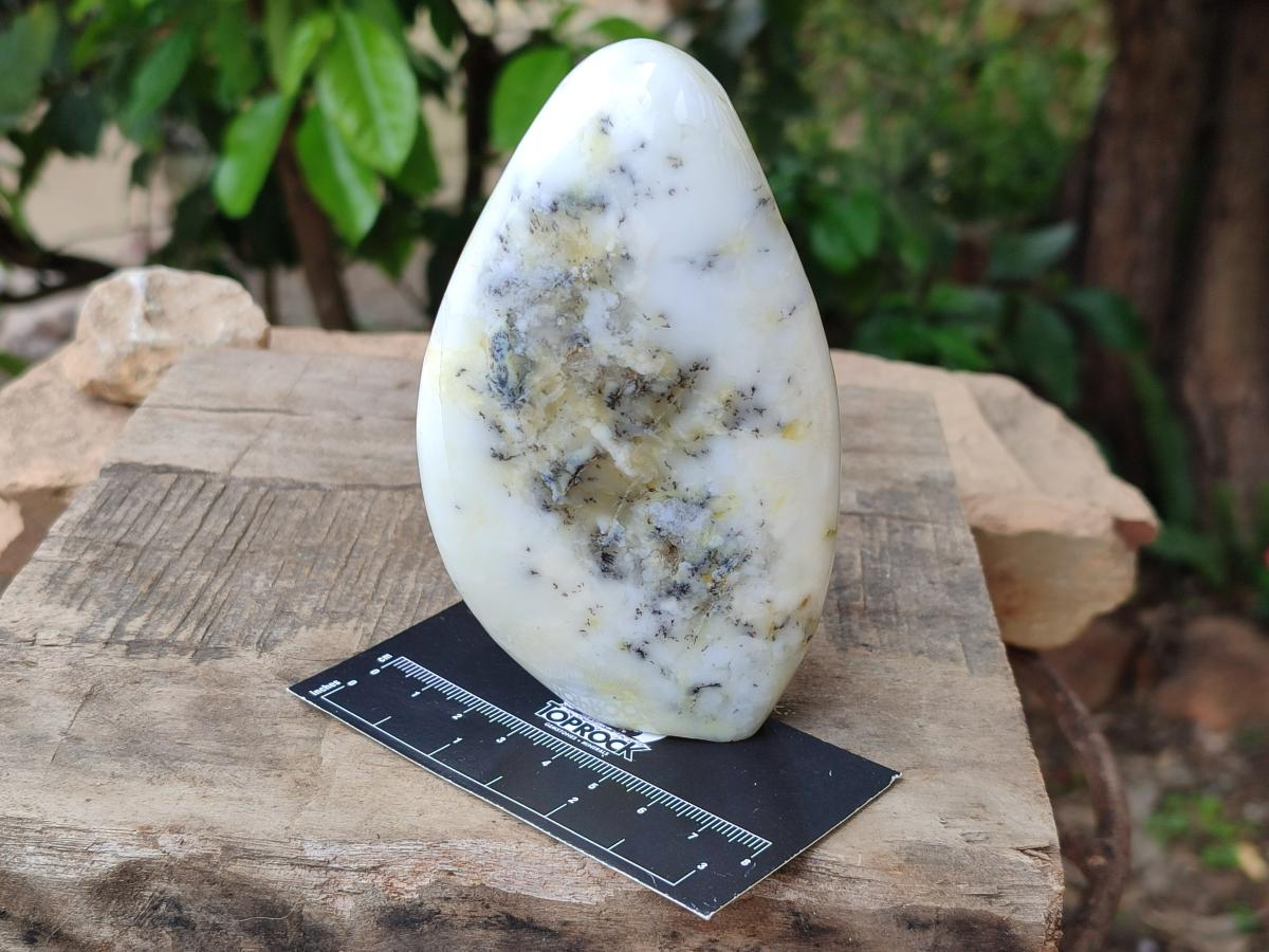 Polished White Dendritic Opal Standing Free Forms x 2 From Moralambo, Madagascar