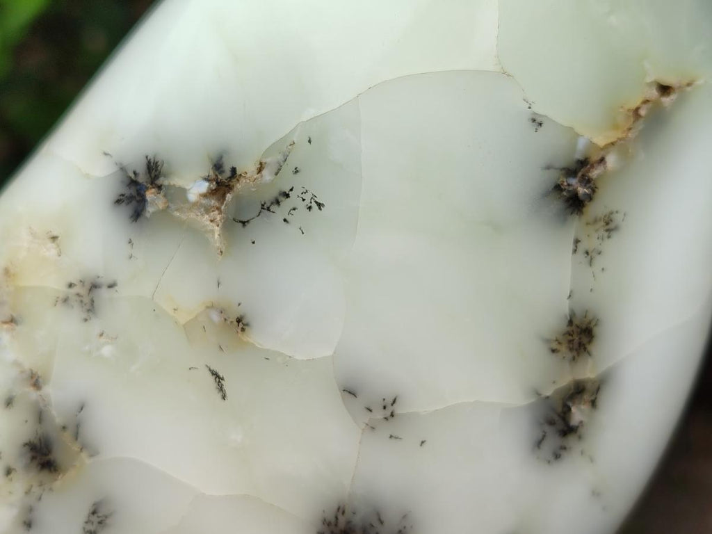 Polished White Dendritic Opal Standing Free Forms x 2 From Moralambo, Madagascar