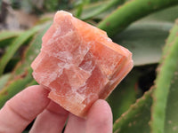 Natural Sunset Orange Calcite Specimens x 24 From Spitzkop, Namibia