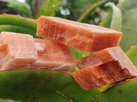 Natural Sunset Orange Calcite Specimens x 24 From Spitzkop, Namibia