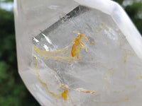 Polished Large Clear Quartz Crystals x 2 From Madagascar