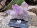 Natural Jacaranda Amethyst Crystal Clusters x 6 From Mumbwa, Zambia