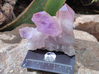 Natural Jacaranda Amethyst Crystal Clusters x 6 From Mumbwa, Zambia