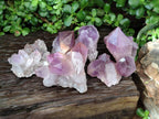 Natural Jacaranda Amethyst Crystal Clusters x 6 From Mumbwa, Zambia