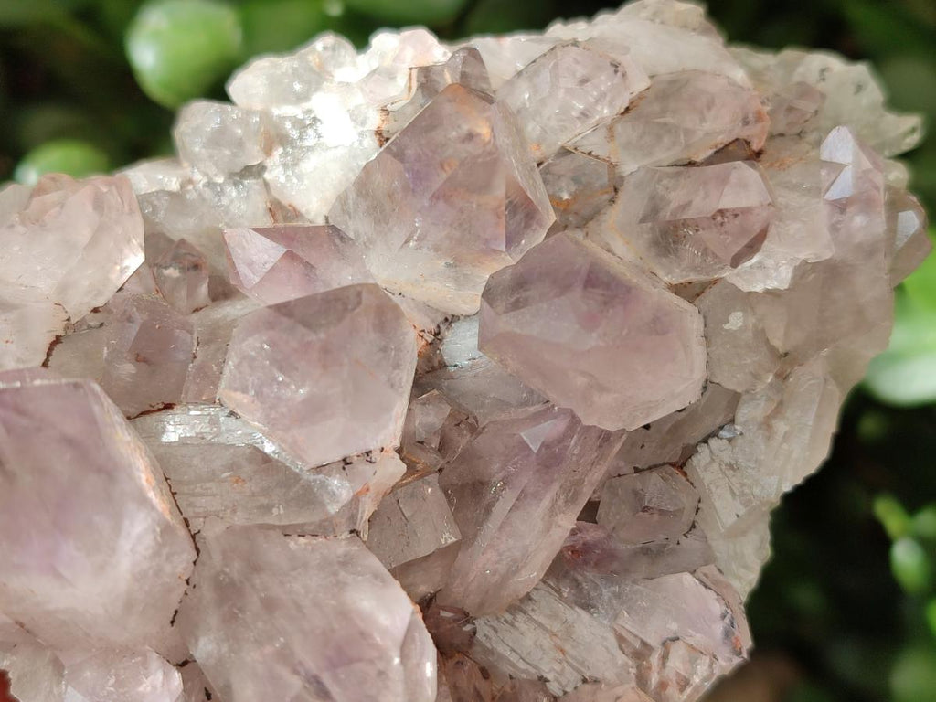 Natural Jacaranda Amethyst Crystal Clusters x 6 From Mumbwa, Zambia