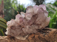 Natural Jacaranda Amethyst Crystal Clusters x 6 From Mumbwa, Zambia