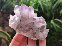 Natural Jacaranda Amethyst Crystal Clusters x 6 From Mumbwa, Zambia