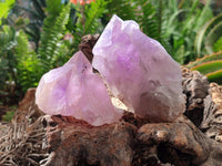 Natural Jacaranda Amethyst Crystal Clusters x 6 From Mumbwa, Zambia