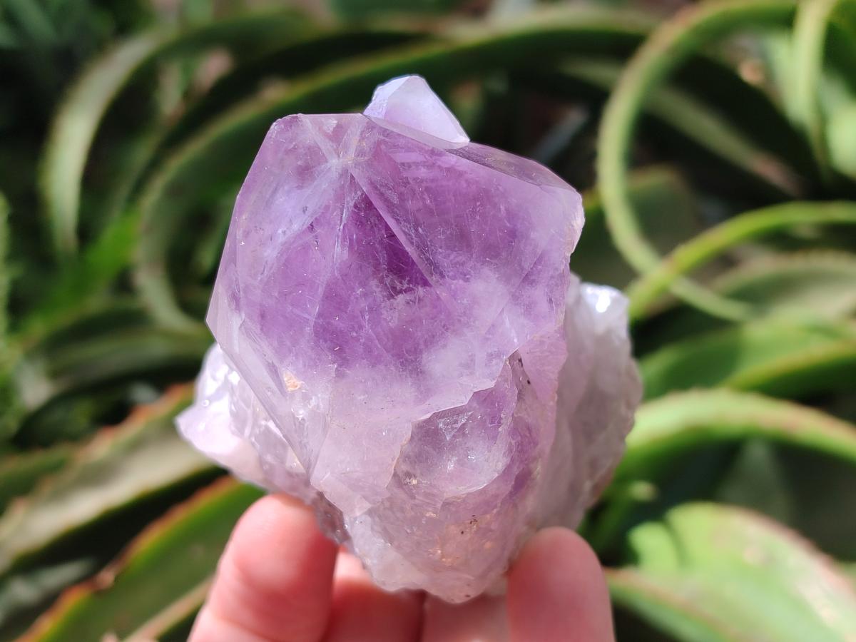 Natural Jacaranda Amethyst Crystal Clusters x 6 From Mumbwa, Zambia
