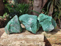 Natural Buddstone Cobbed Specimens x 12 From Swaziland