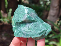 Natural Buddstone Cobbed Specimens x 12 From Swaziland