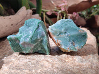 Natural Buddstone Cobbed Specimens x 12 From Swaziland