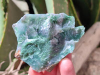 Natural Buddstone Cobbed Specimens x 12 From Swaziland