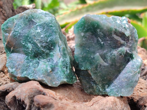 Natural Buddstone Cobbed Specimens x 12 From Swaziland