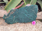 Natural Crystalline Malachite Specimen x 1 From Tenke Fungurume, Congo