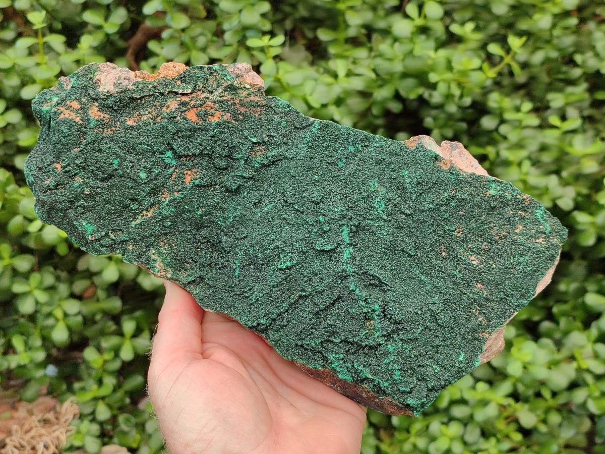 Natural Crystalline Malachite Specimen x 1 From Tenke Fungurume, Congo