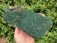 Natural Crystalline Malachite Specimen x 1 From Tenke Fungurume, Congo
